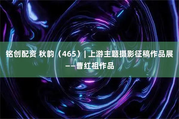 铭创配资 秋韵（465）| 上游主题摄影征稿作品展——曹红祖作品