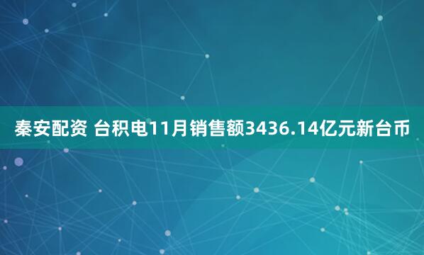 秦安配资 台积电11月销售额3436.14亿元新台币